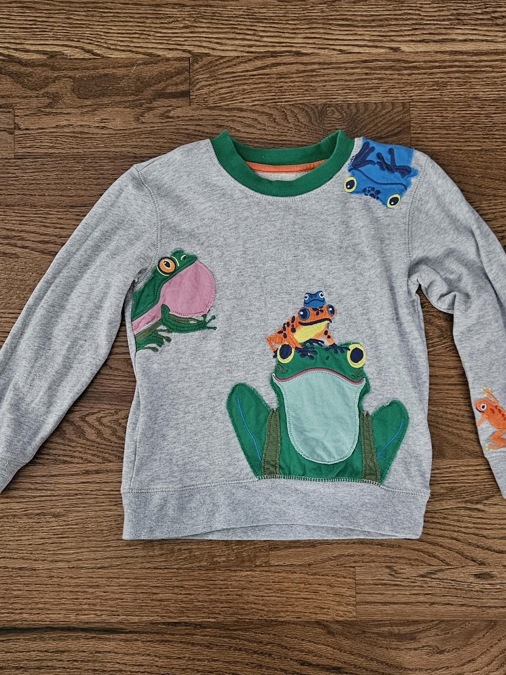 Mini Boden Grey Sweatshirt with Colorful Frog Appliqués